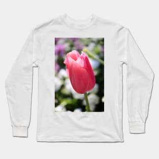 One Soft Pink Tulip Long Sleeve T-Shirt